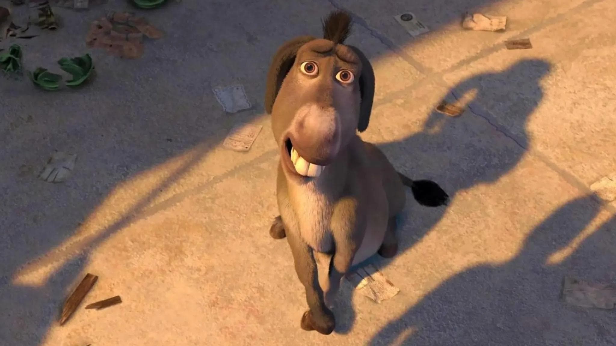 O Burro vai ganhar um filme solo